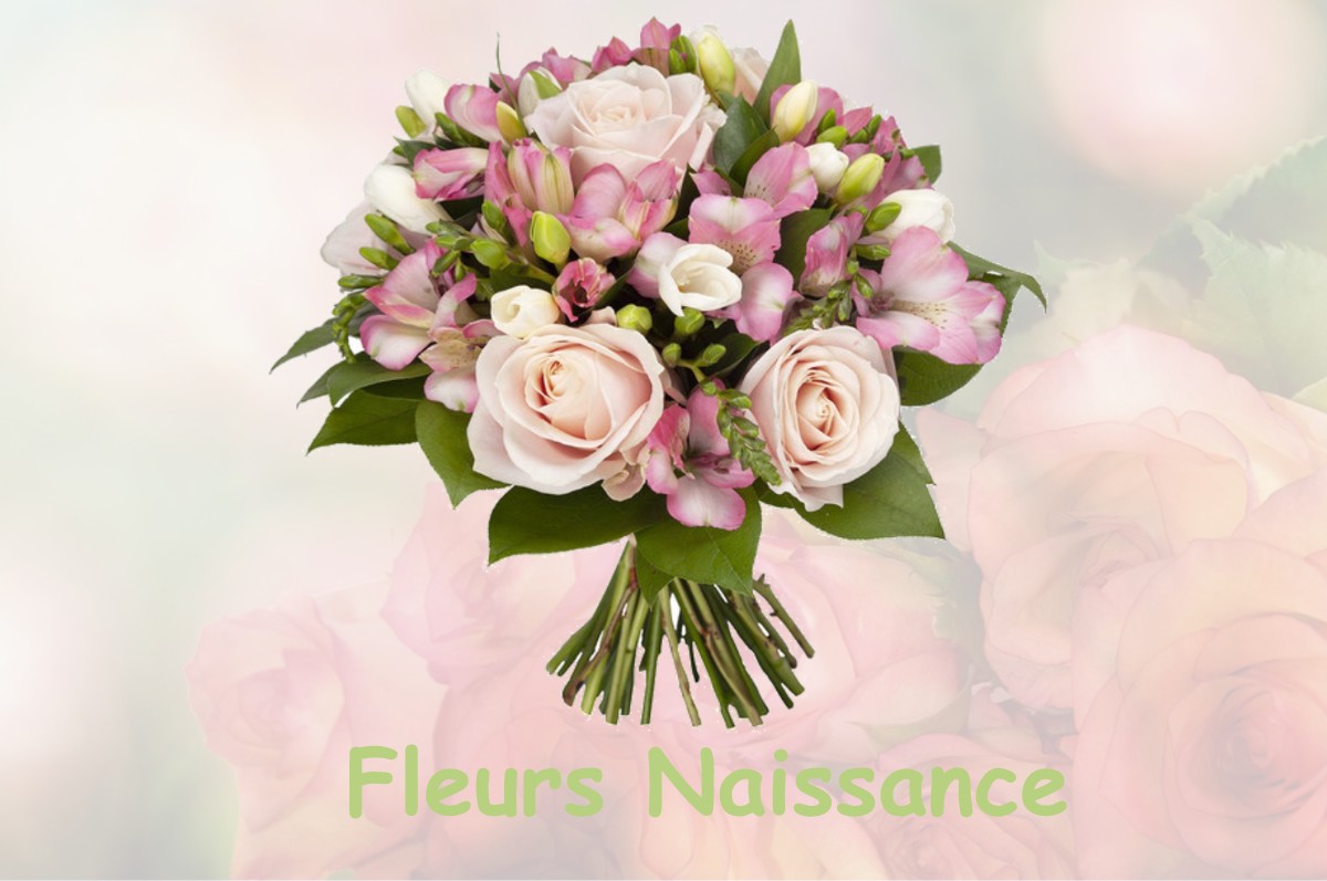 fleurs naissance FRAISSE-SUR-AGOUT